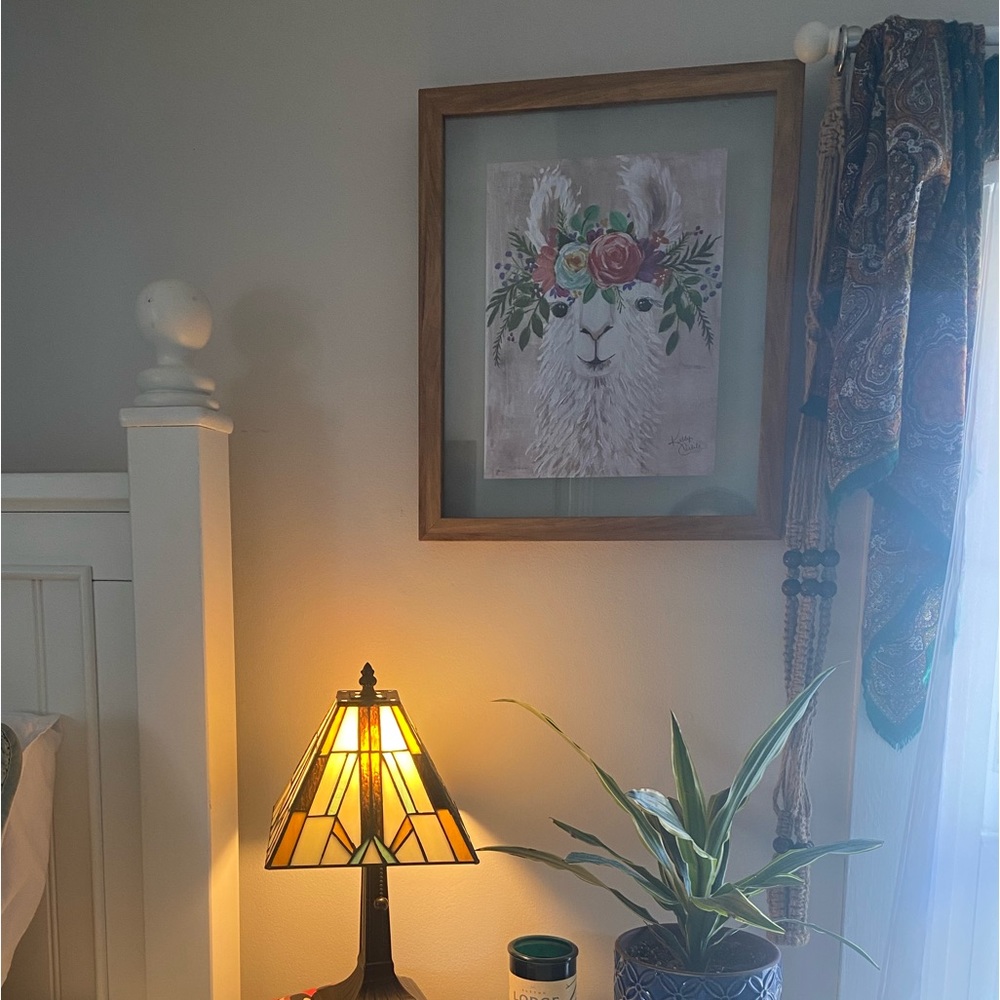 Framed Llama Graphic